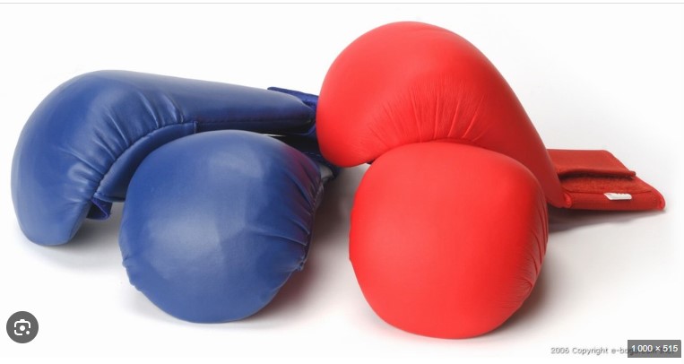 KARATE GLOVES KIDS